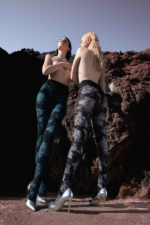 Tutti i prodotti FELIS AI24013